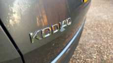 Skoda Kodiaq 1.5 TSI SE L Executive 5dr DSG [7 Seat] Petrol Estate